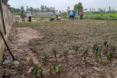 Một số hoạt động của trường mầm non Mỹ Tiến – Huyện Mỹ Lộc trong thời gian học sinh tạm nghỉ phòng dịch. Giáo viên thường xuyên vệ sinh trường lớp sạch sẽ, xây dựng môi trường Xanh – Sạch – Đẹp – An toàn đón trẻ ra lớp.