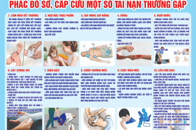 Phác đồ, sơ cứu một số tai nạn thường gặp
